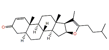 Ximaosteroid E